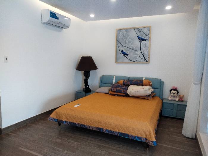 Biệt thự nghỉ dưỡng 42x78 DT cực khủng 3042m2 Giáp Bình Chánh, Long An chỉ 27 tỷ 3