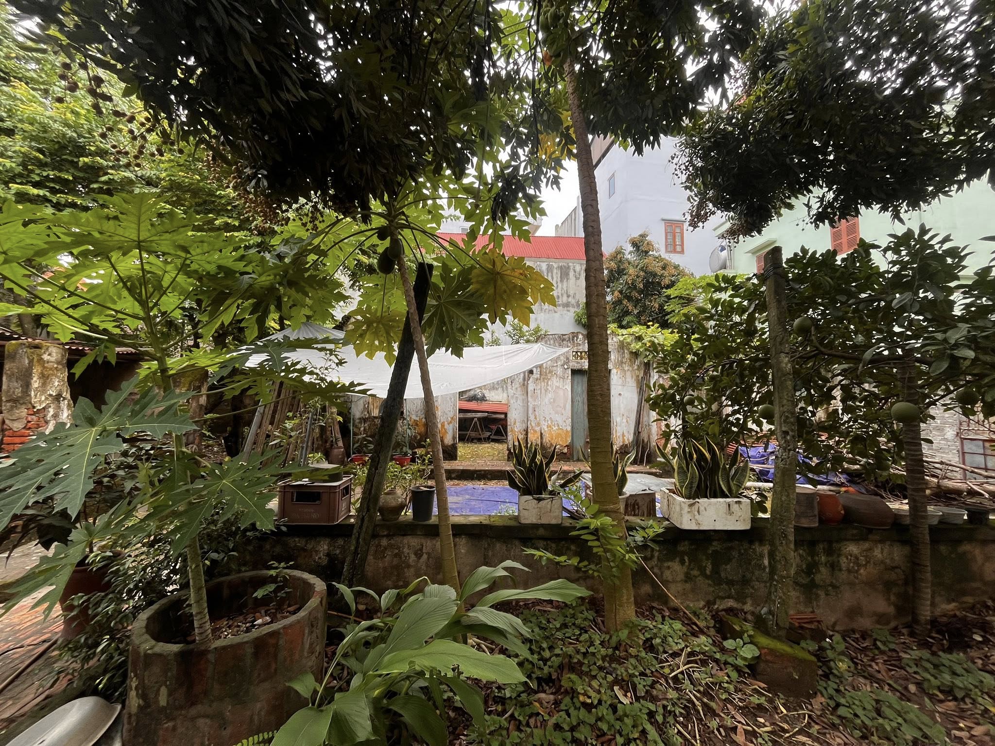 Đất Vàng Phố Huế 130M2 MT 8M 58 Tỷ Đường Ô TÔ Tránh Kinh Doanh 2