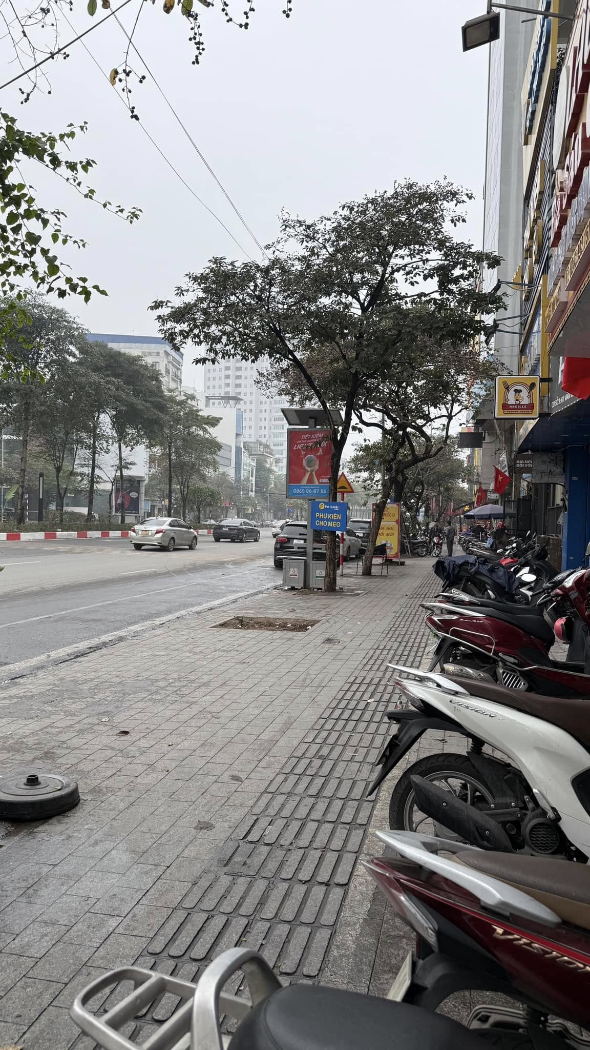 GIẢM NGAY 5 TỶ TÒA NHÀ VĂN PHÒNG MẶT PHỐ VIP QUẬN BA ĐÌNH – VỈA HÈ ĐÁ BÓNG