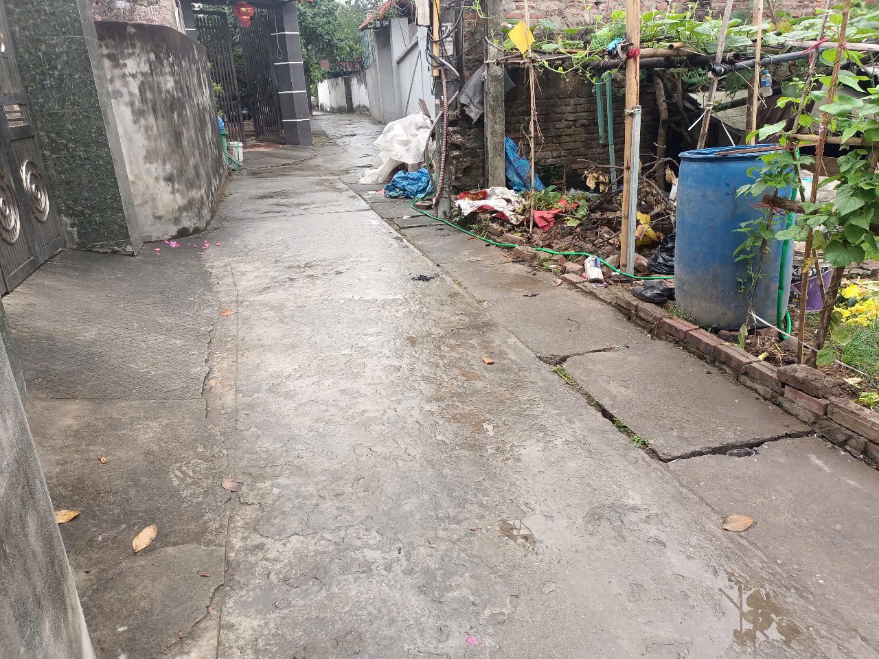 Bán 60m2 đất tại Xanh Tý, Lạc Đạo. Lô góc 2 mặt thoáng. Ô tô đỗ cửa: 0835459289