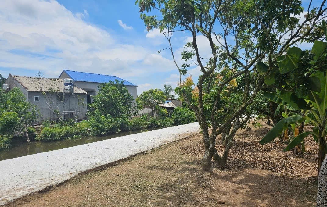 Cần bán Đất Xã Thanh Hà, Thanh Hà, Diện tích 548m², Giá 14 Triệu/m²