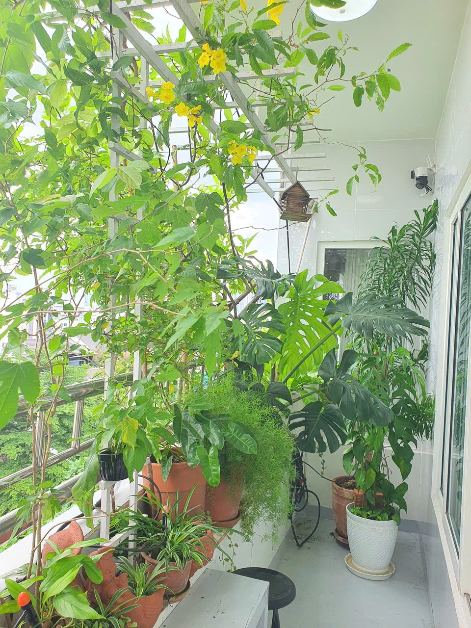 CHÍNH CHỦ BÁN CĂN HỘ GÓC 74M2 – VIEW ĐẸP – FULL NỘI THẤT CAO CẤP – GIÁ SIÊU TỐT! 2
