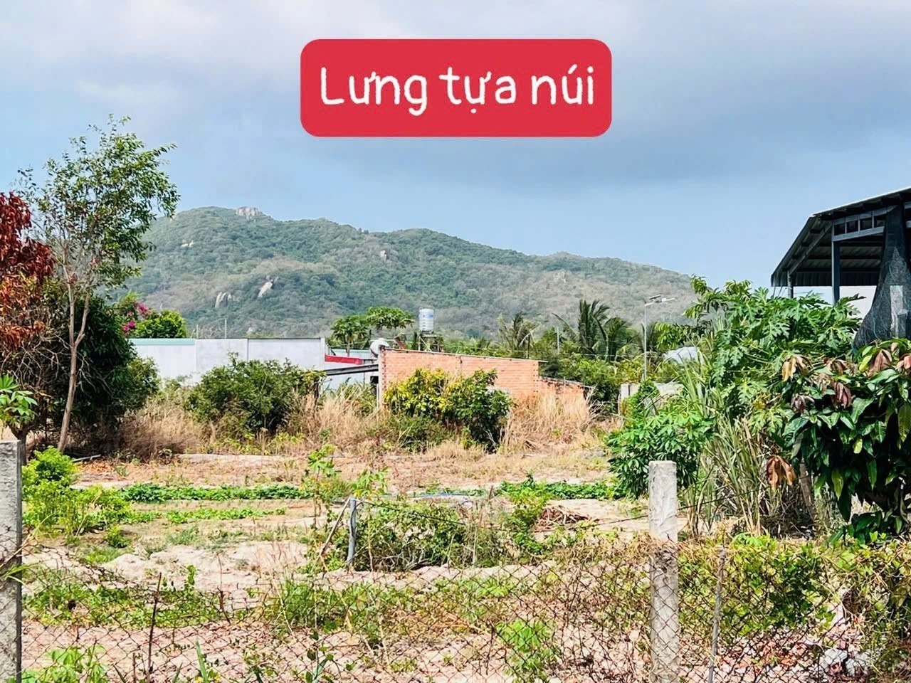 Cần bán Đất Đất Đỏ, Bà Rịa Vũng Tàu, Diện tích 522m², Giá Thương lượng 2