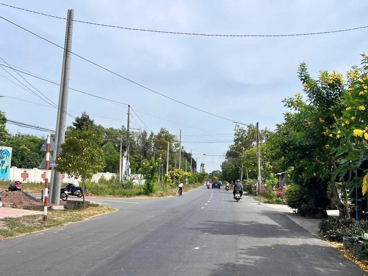 Cần bán Đất Đất Đỏ, Bà Rịa Vũng Tàu, Diện tích 1001m², Giá Thương lượng 3