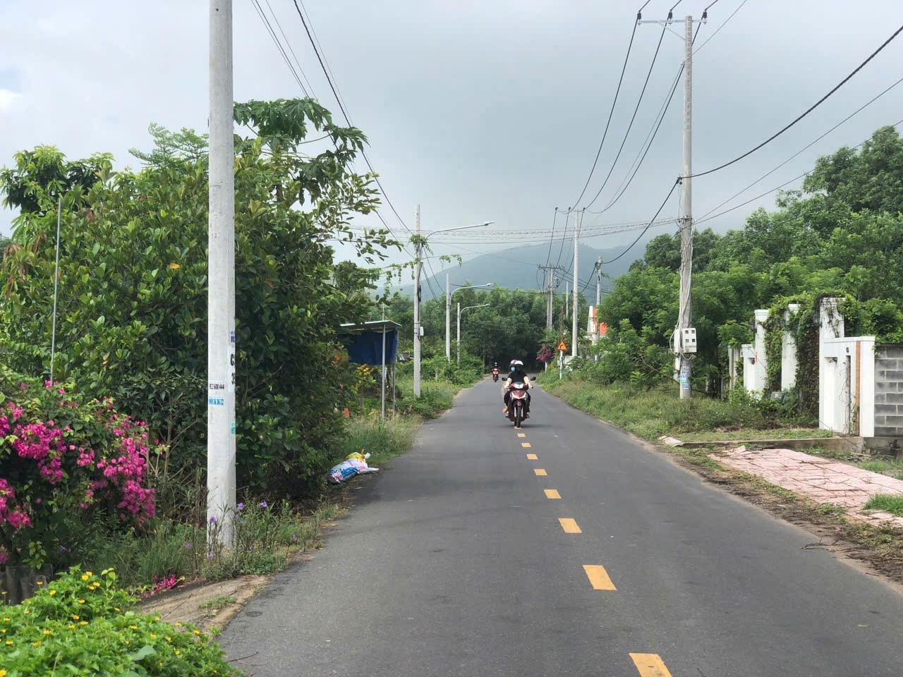Cần bán Đất Đất Đỏ, Bà Rịa Vũng Tàu, Diện tích 308m², Giá Thương lượng 5
