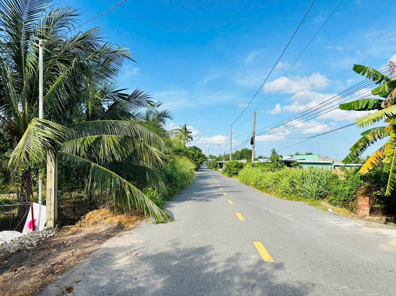 Cần bán Đất Đất Đỏ, Bà Rịa Vũng Tàu, Diện tích 308m², Giá Thương lượng 2