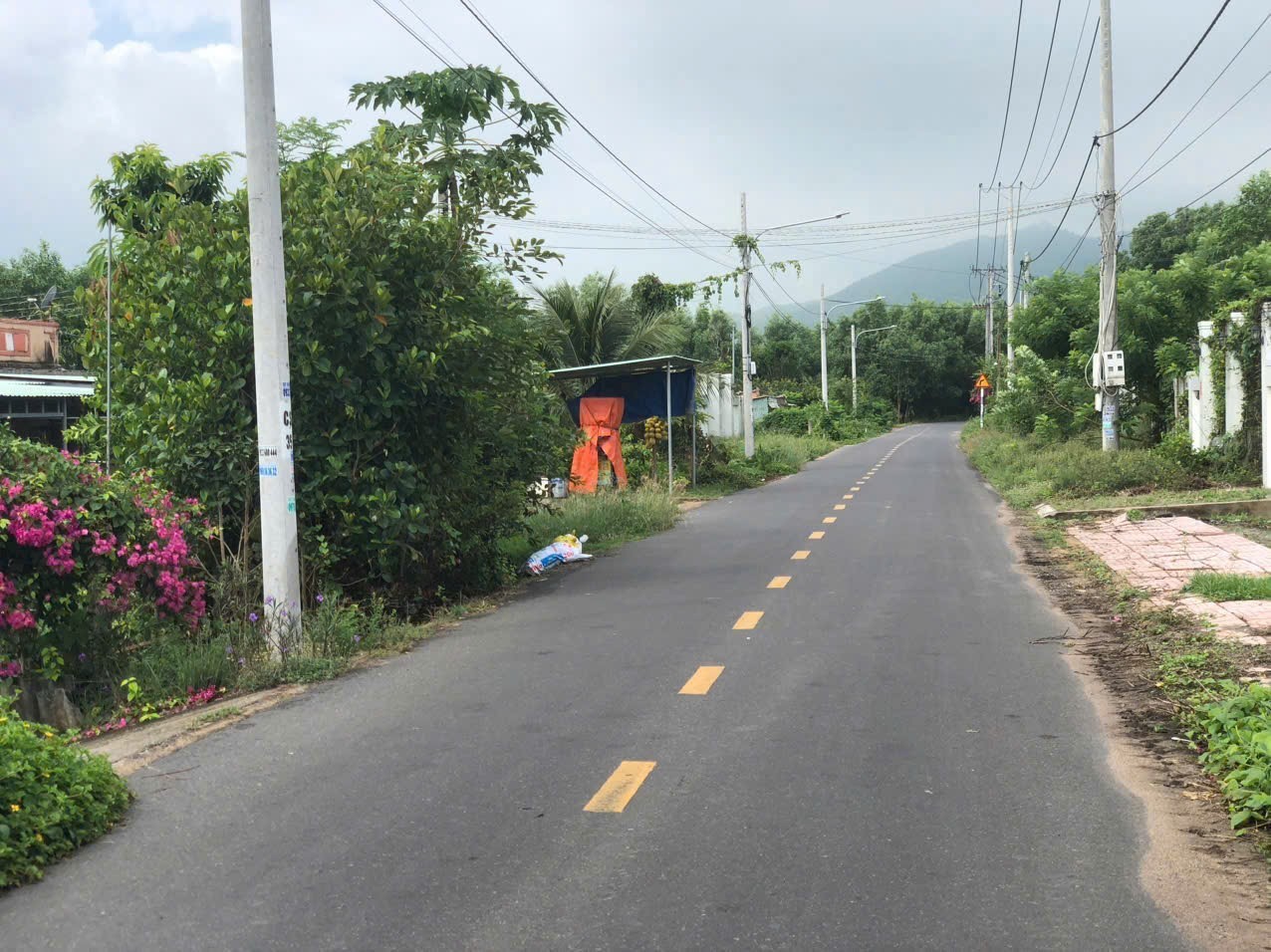 Cần bán Đất Đất Đỏ, Bà Rịa Vũng Tàu, Diện tích 308m², Giá Thương lượng 4