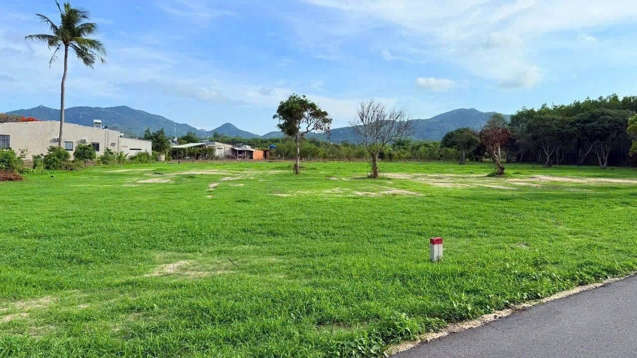 Cần bán Đất Đất Đỏ, Bà Rịa Vũng Tàu, Diện tích 787m², Giá Thương lượng 2