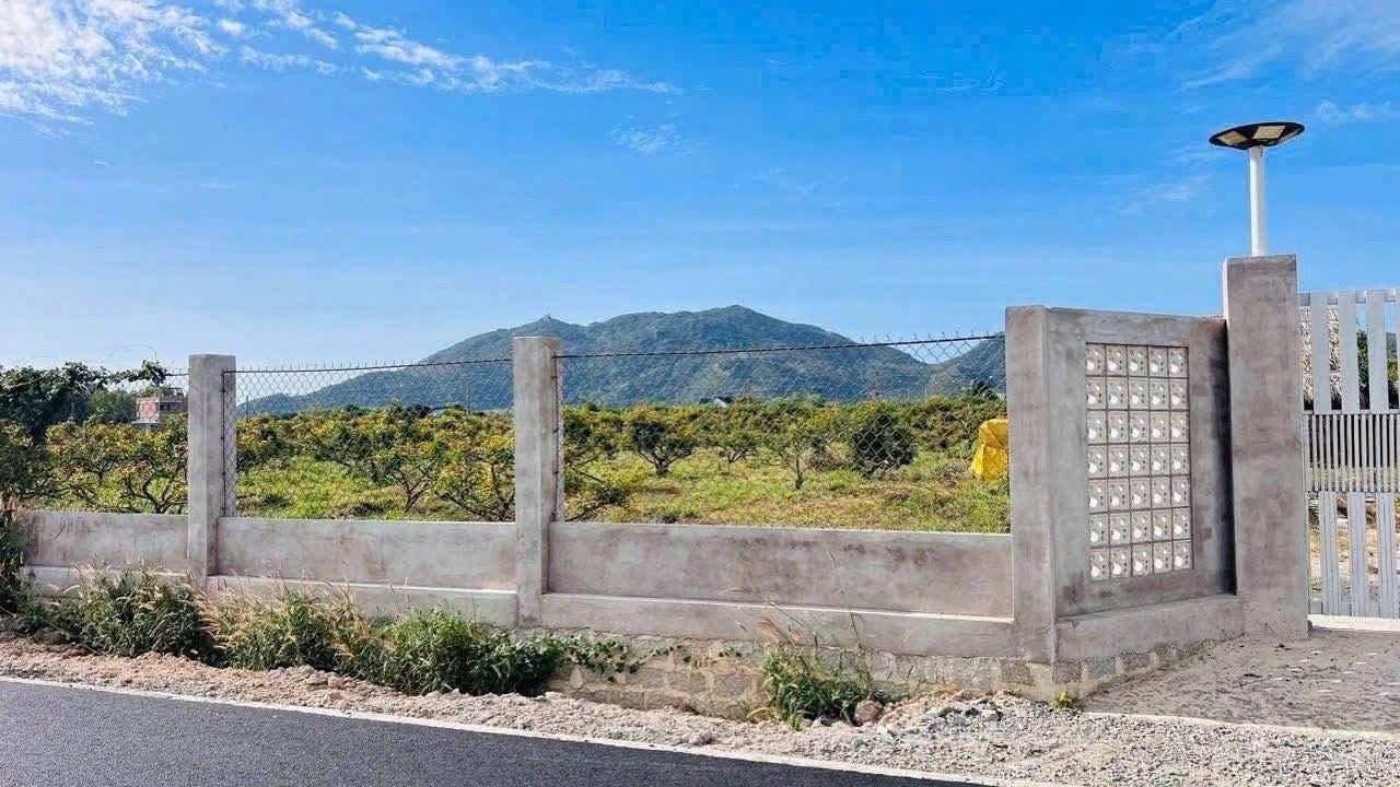 Cần bán Đất Đất Đỏ, Bà Rịa Vũng Tàu, Diện tích 2040m², Giá Thương lượng 4