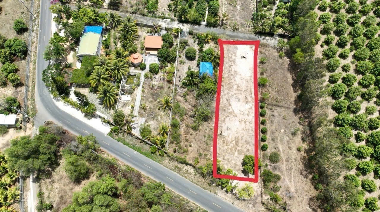 Cần bán Đất Đất Đỏ, Bà Rịa Vũng Tàu, Diện tích 1153m², Giá Thương lượng