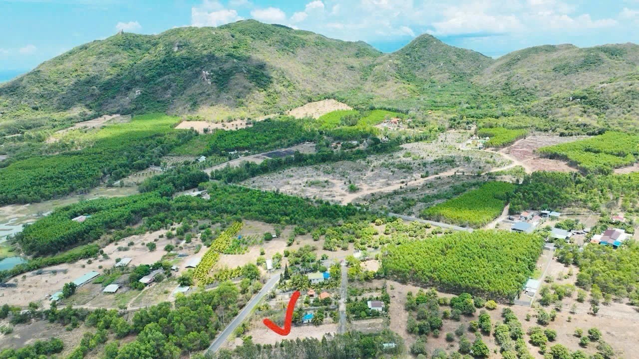 Cần bán Đất Đất Đỏ, Bà Rịa Vũng Tàu, Diện tích 1153m², Giá Thương lượng 3