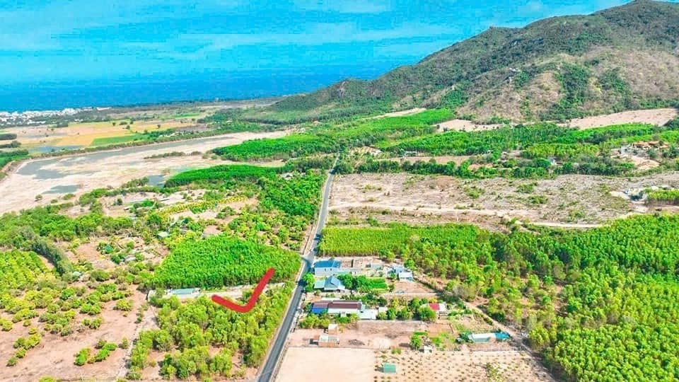 Cần bán Đất Đất Đỏ, Bà Rịa Vũng Tàu, Diện tích 2264m², Giá Thương lượng 2