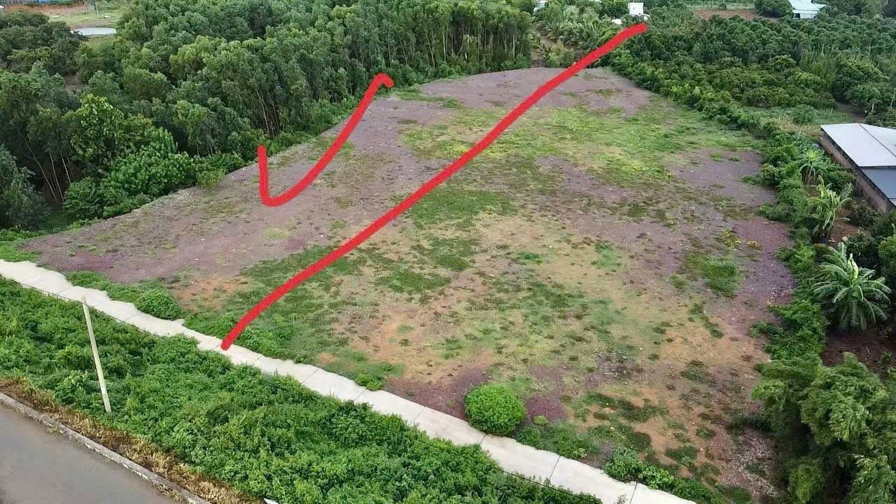 Cần bán Đất Đất Đỏ, Bà Rịa Vũng Tàu, Diện tích 2012m², Giá Thương lượng 4