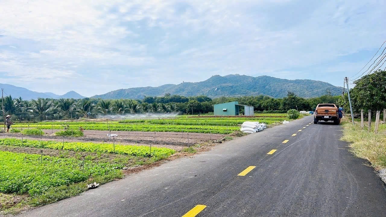 Cần bán Đất Đất Đỏ, Bà Rịa Vũng Tàu, Diện tích 2005m², Giá Thương lượng