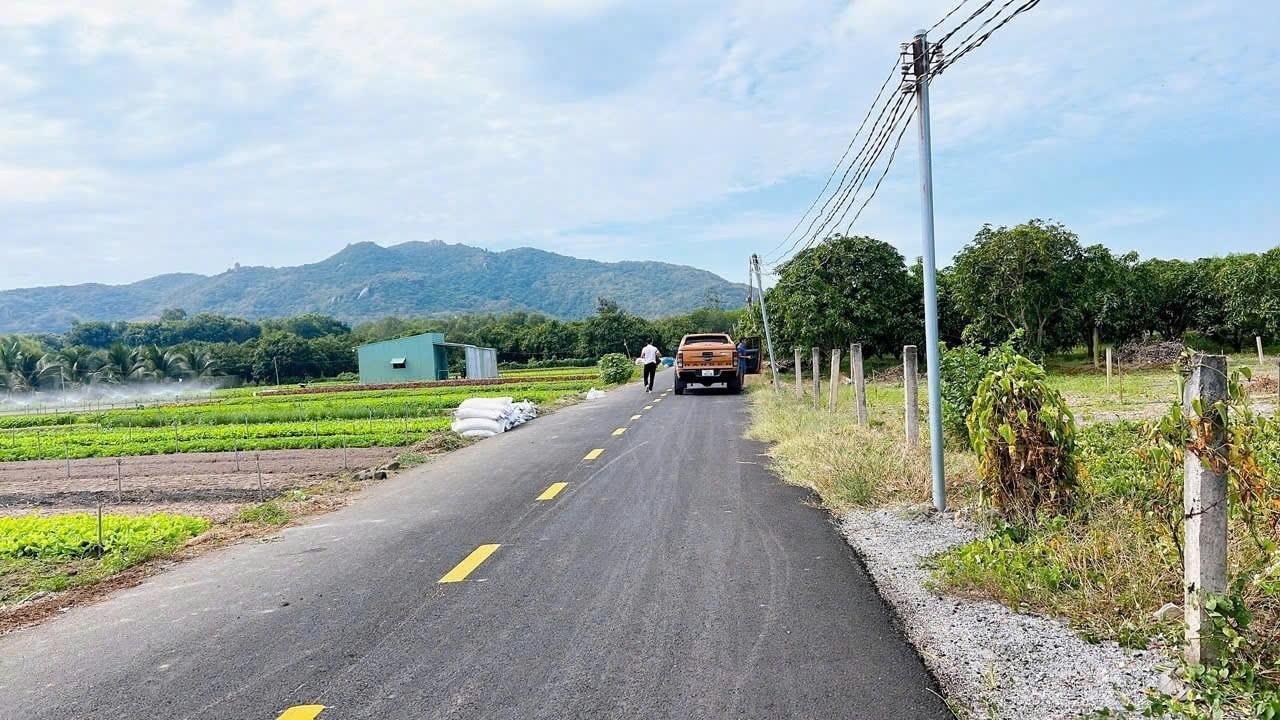 Cần bán Đất Đất Đỏ, Bà Rịa Vũng Tàu, Diện tích 2005m², Giá Thương lượng 3