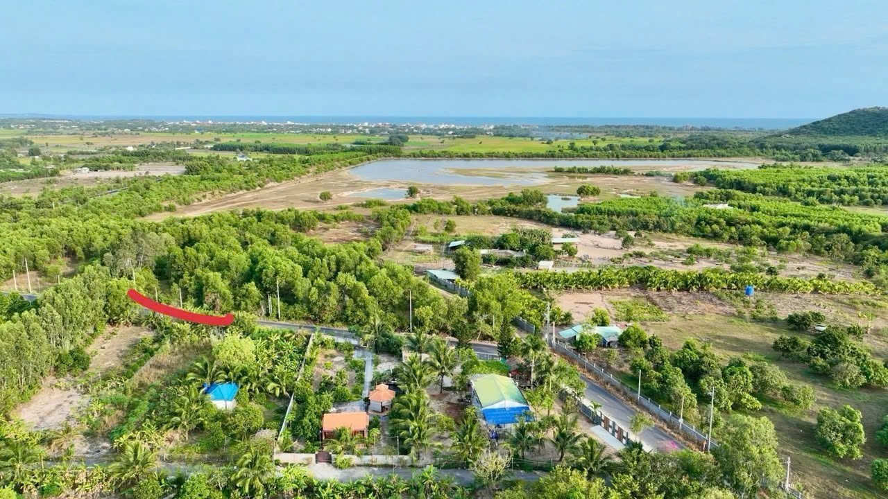 Cần bán Đất Đất Đỏ, Bà Rịa Vũng Tàu, Diện tích 982m², Giá Thương lượng 4