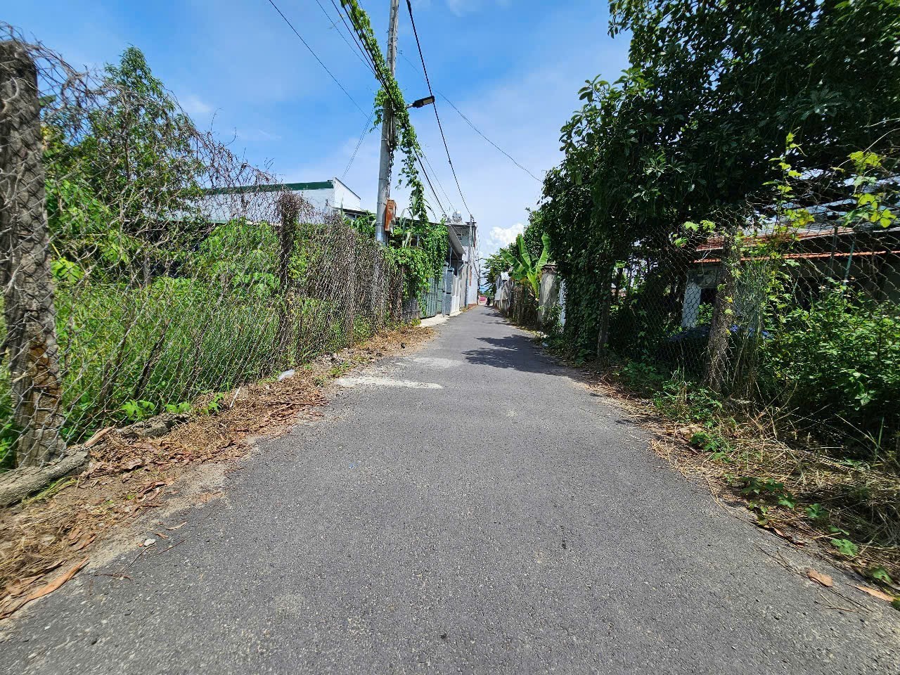 Bán đất Diên phước thôn An Định mặt đường nhựa sát bên Hương Lộ 62 4