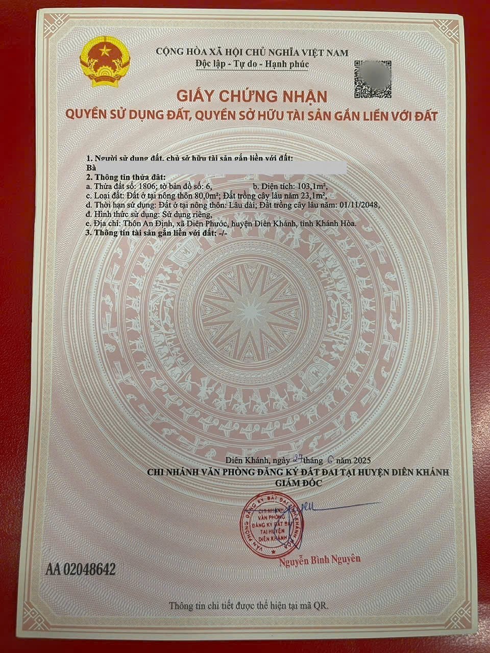 Bán đất Diên phước thôn An Định mặt đường nhựa sát bên Hương Lộ 62 7