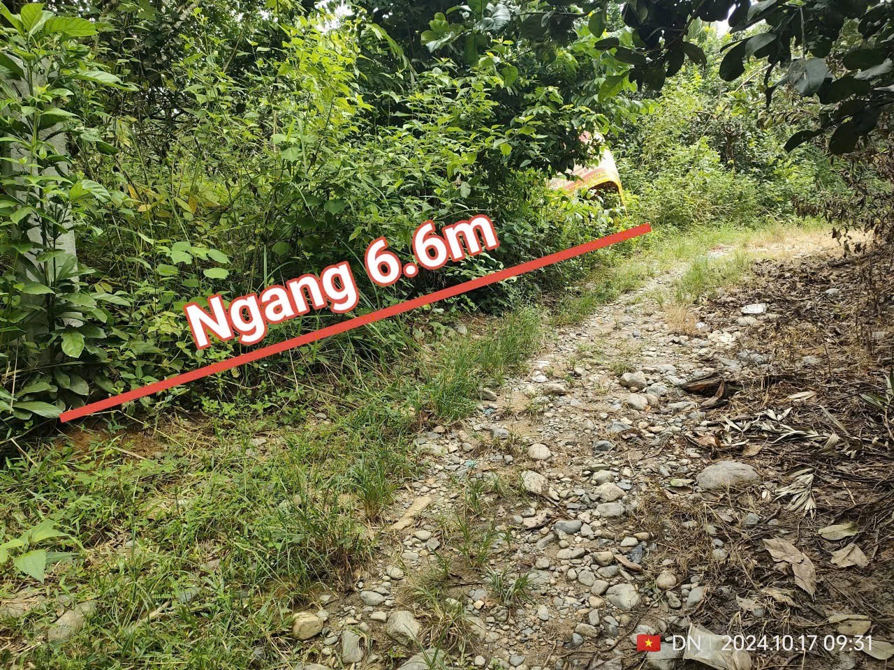 Bán vườn bưởi Khánh Thành full thổ cư cạnh bên suối - sát đường liên xã gần trường học 5