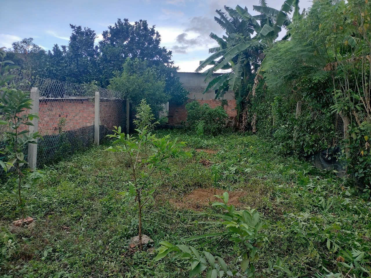 Bán nhà sân vườn Diên Đồng - Diên Khánh giá rẻ đường bê tông 6m thông 10