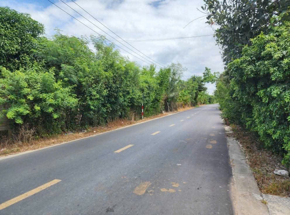 Bán đất mặt tiền Hương Lộ 39 Diên Lâm - Diên Khánh phù hợp kinh doanh buôn bán 4