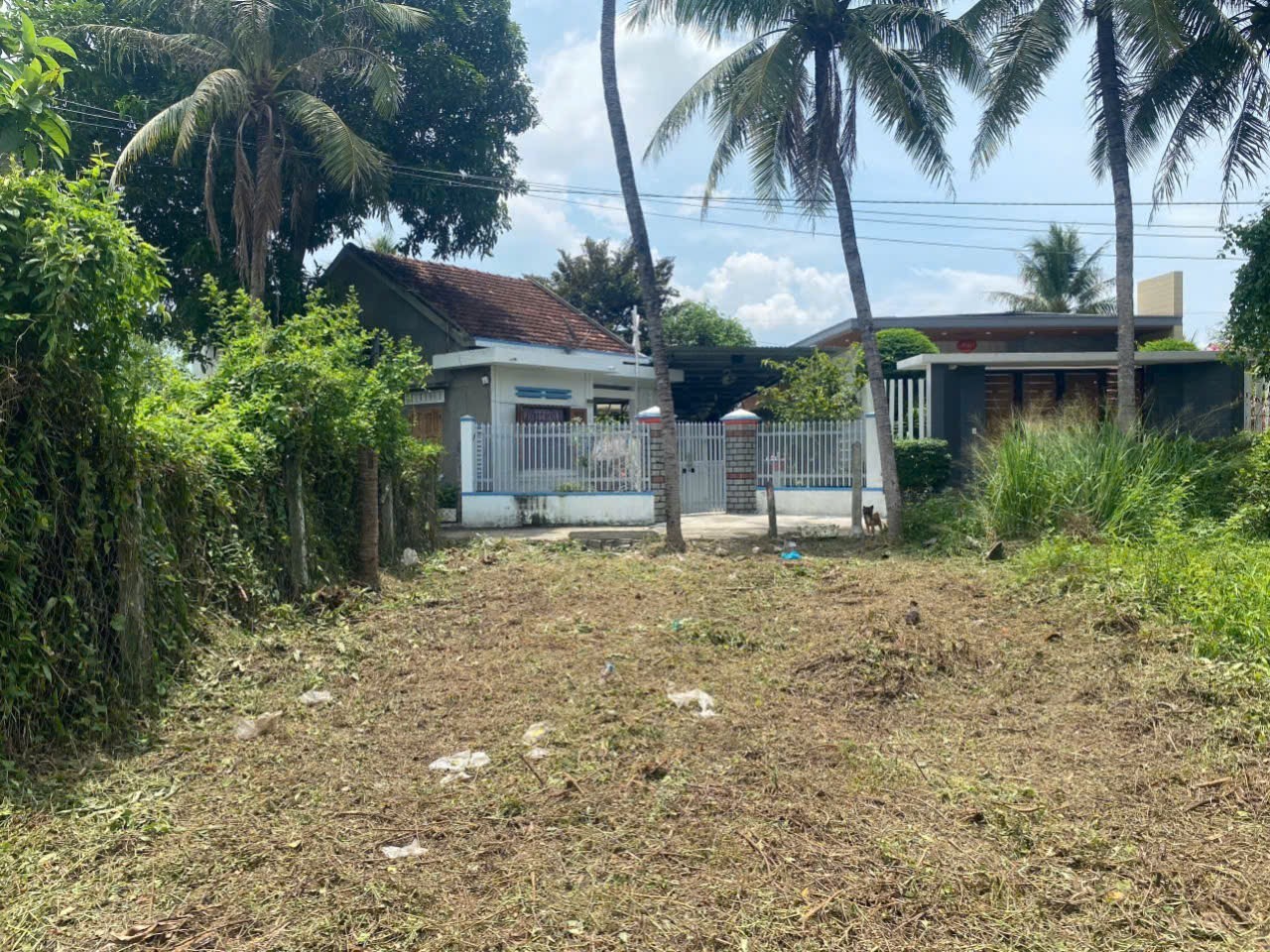 Bán đất Diên Lạc giá rẻ thôn Thanh Minh gần Tỉnh Lộ 2 3