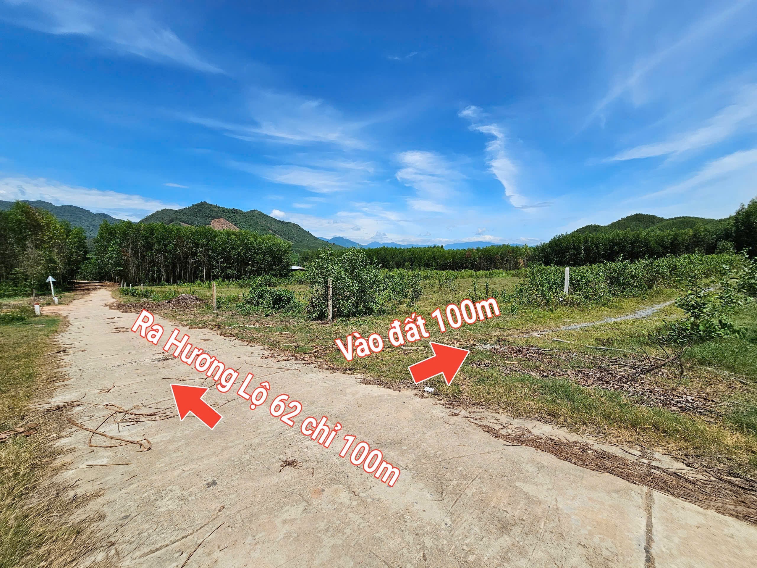 Bán đất vườn Diên Tân giá rẻ sát bên Hương Lộ 62 khu dân cư
