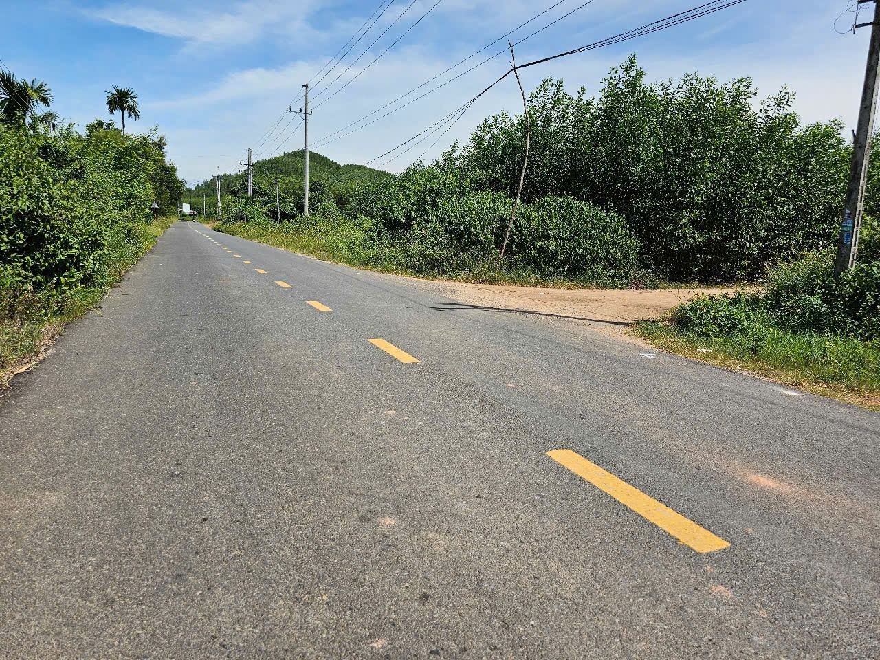 Bán đất vườn Diên Tân giá rẻ sát bên Hương Lộ 62 khu dân cư 4
