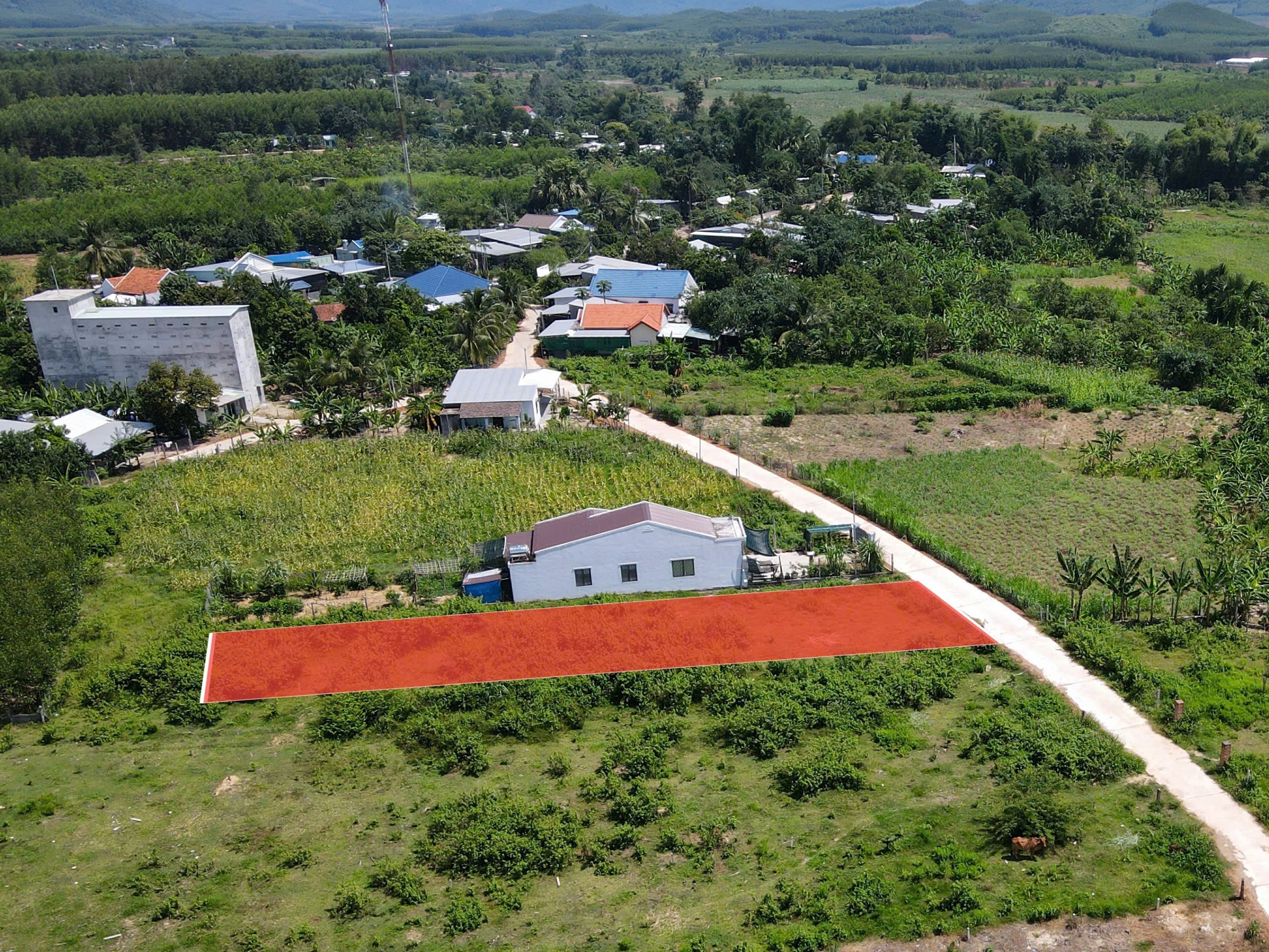 Bán đất vườn Khánh Hiệp giá rẻ QH full thổ lọt lòng khu dân cư 3