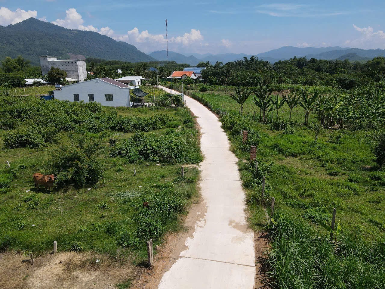 Bán đất vườn Khánh Hiệp giá rẻ QH full thổ lọt lòng khu dân cư 6