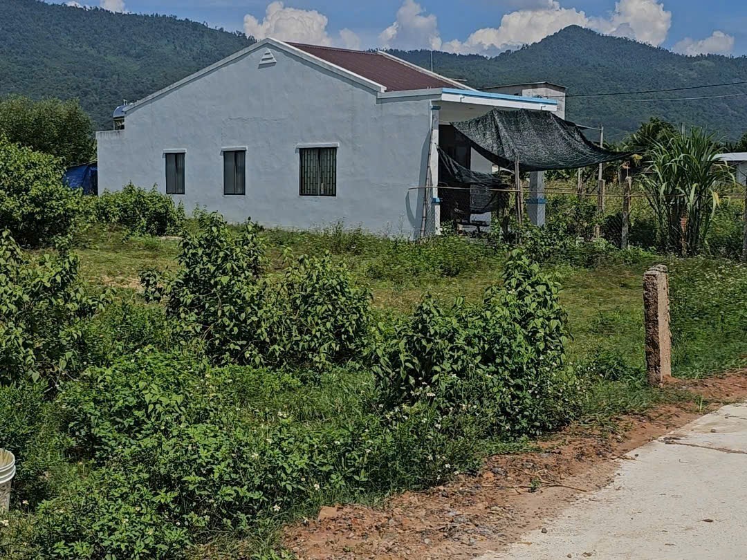Bán đất vườn Khánh Hiệp giá rẻ QH full thổ lọt lòng khu dân cư 9