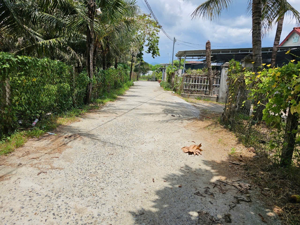 Bán đất Diên Phước full thổ cư giá rẻ thôn Phò Thiện - hẻm đường Gò Mây oto tới nơi 4