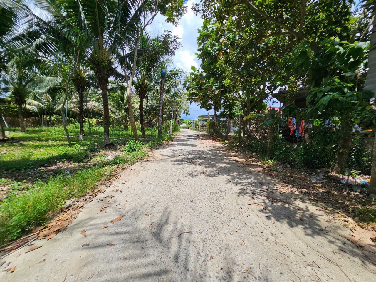 Bán đất Diên Phước full thổ cư giá rẻ thôn Phò Thiện - hẻm đường Gò Mây oto tới nơi 5