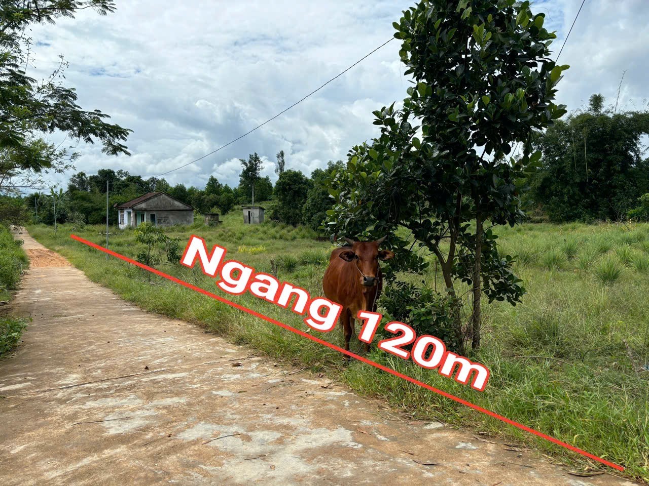 Bán lô góc Khánh Đông giá rẻ mặt tiền đường liên thôn - đầu tư phân lô