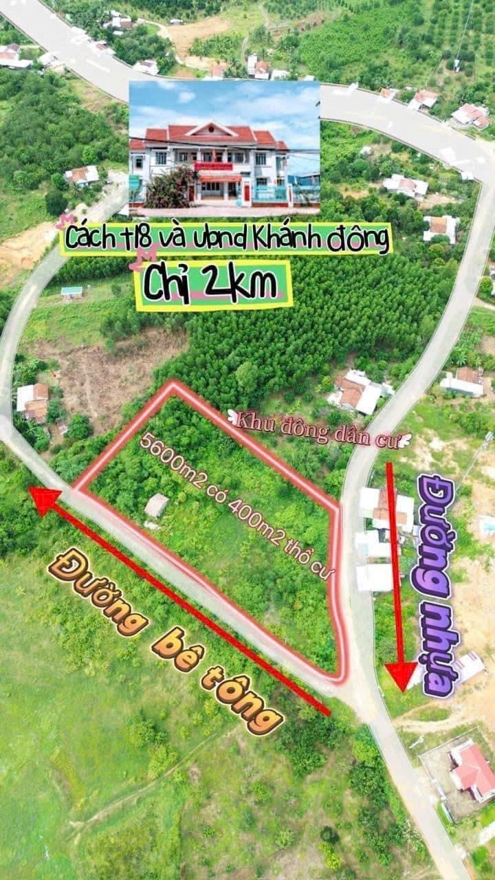 Bán lô góc Khánh Đông giá rẻ mặt tiền đường liên thôn - đầu tư phân lô 5