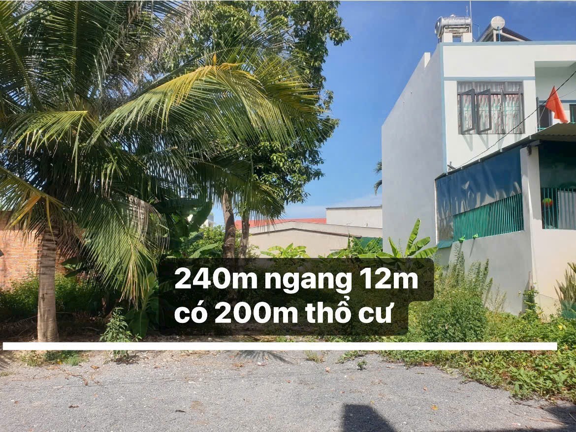 Bán đất Diên An - Phú Ân Nam 3 hẻm đường Cây Duối cách 23/10 chỉ 300m