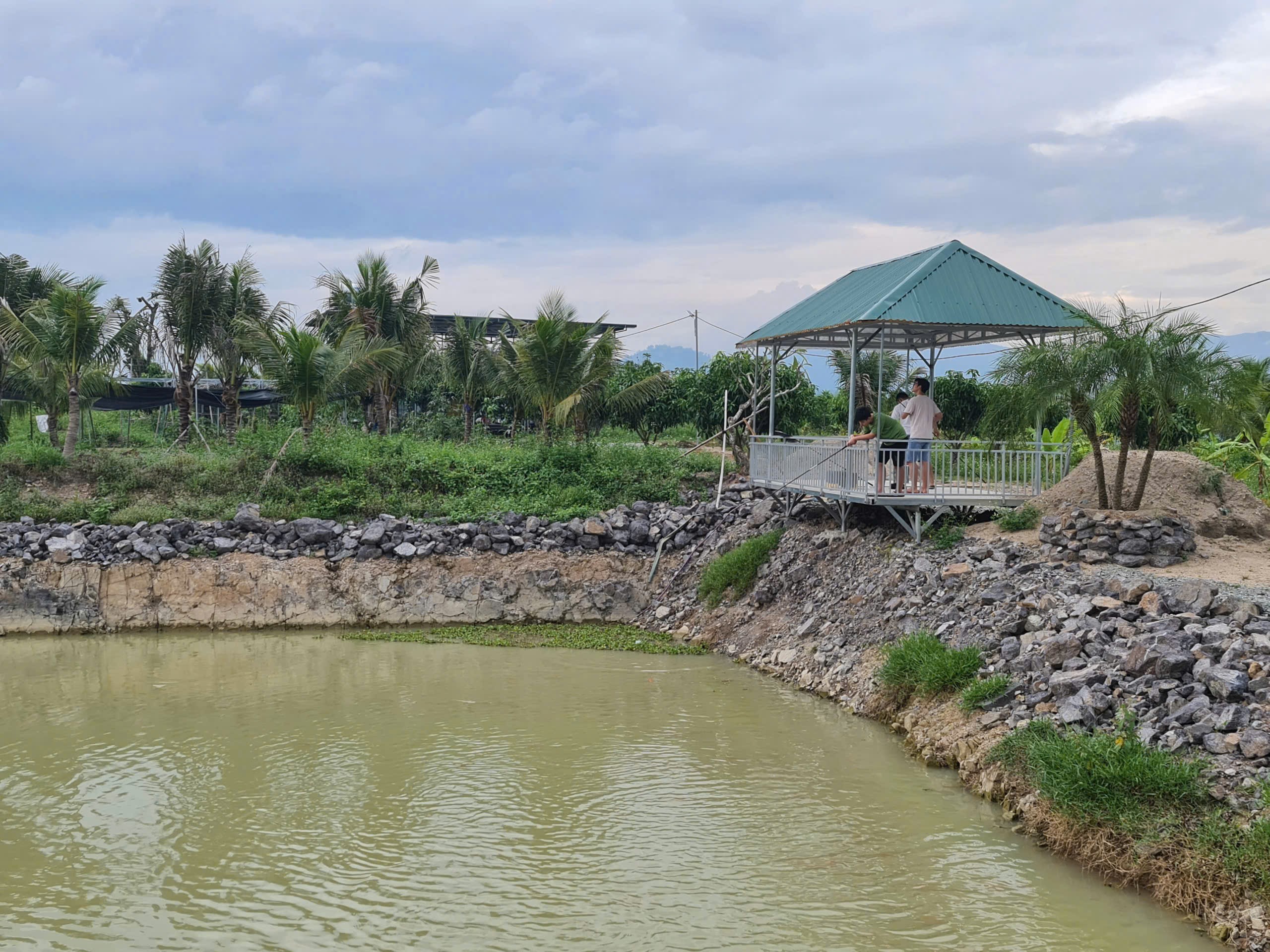 Bán đất vườn Diên Thọ đã lên mô hình farm sinh thái đang khai thác - gần Quốc Lộ 27C 5