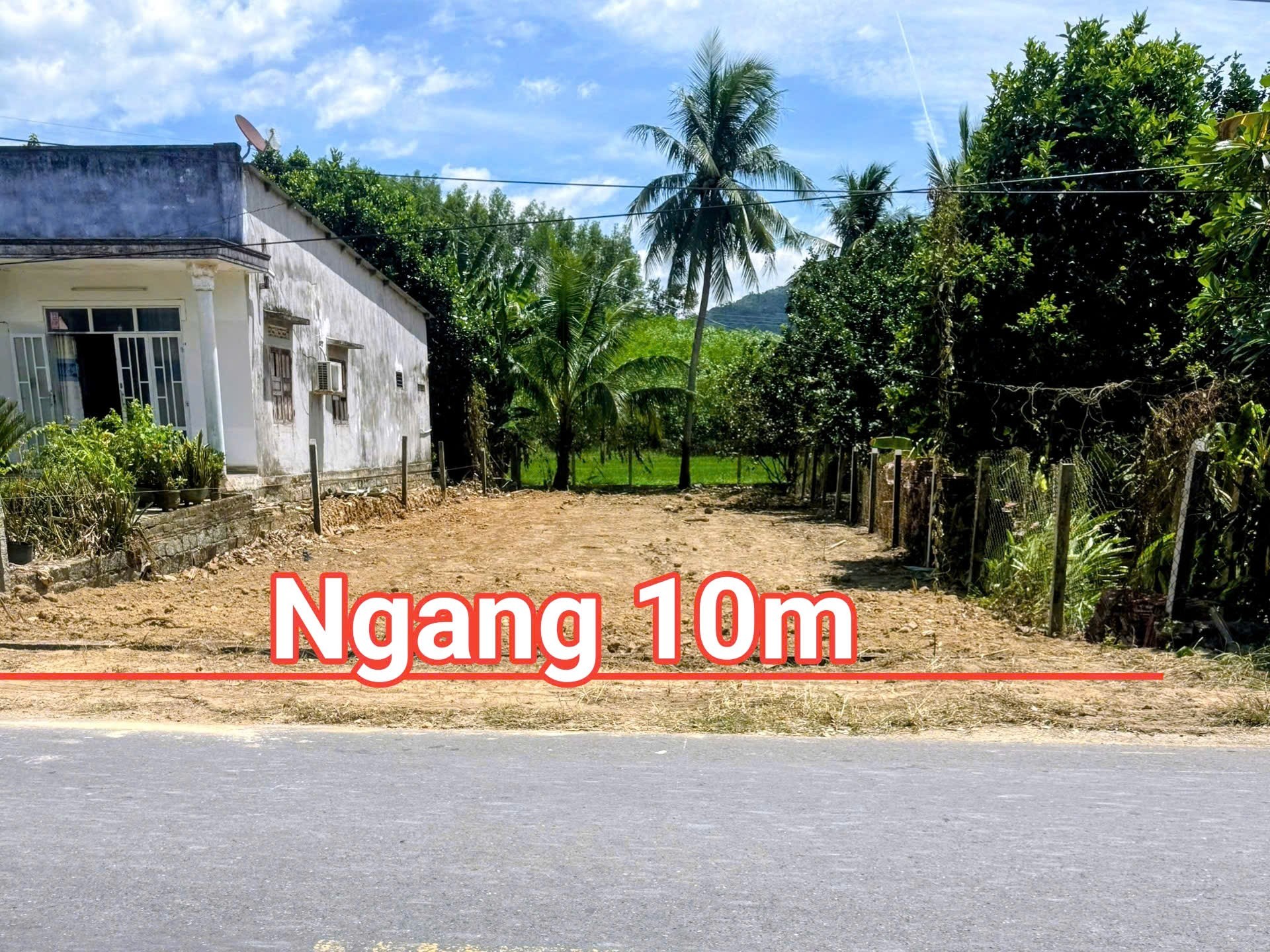 Bán đất Diên Xuân mặt tiền Tỉnh Lộ 8 gần trường cấp II Đinh Bộ Lĩnh 3