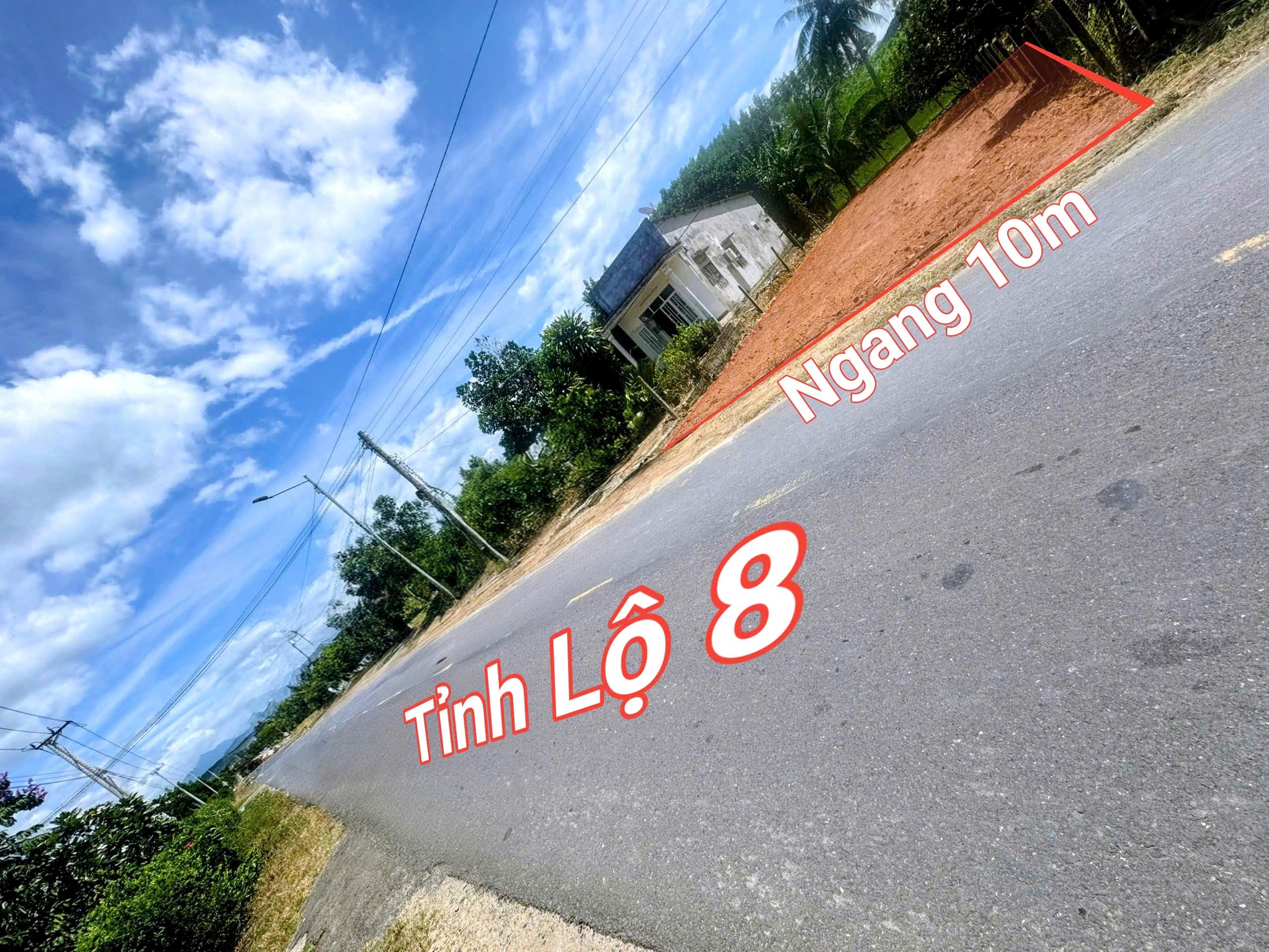 Bán đất Diên Xuân mặt tiền Tỉnh Lộ 8 gần trường cấp II Đinh Bộ Lĩnh 4
