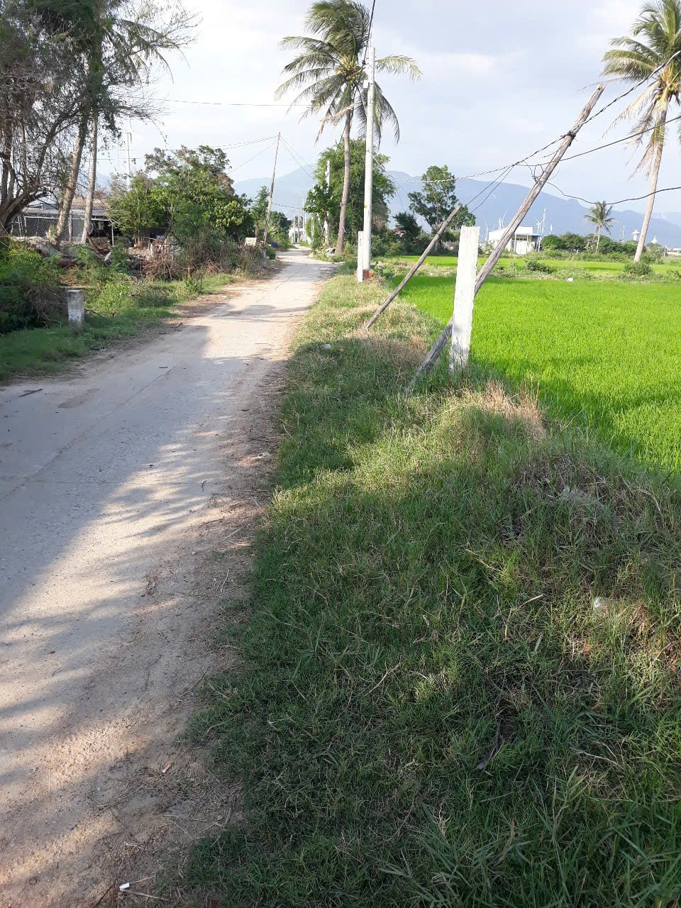 Cần bán Đất đường Quốc lộ 1A, Xã Tân Hải, Diện tích 1646m², Giá Thương lượng 3