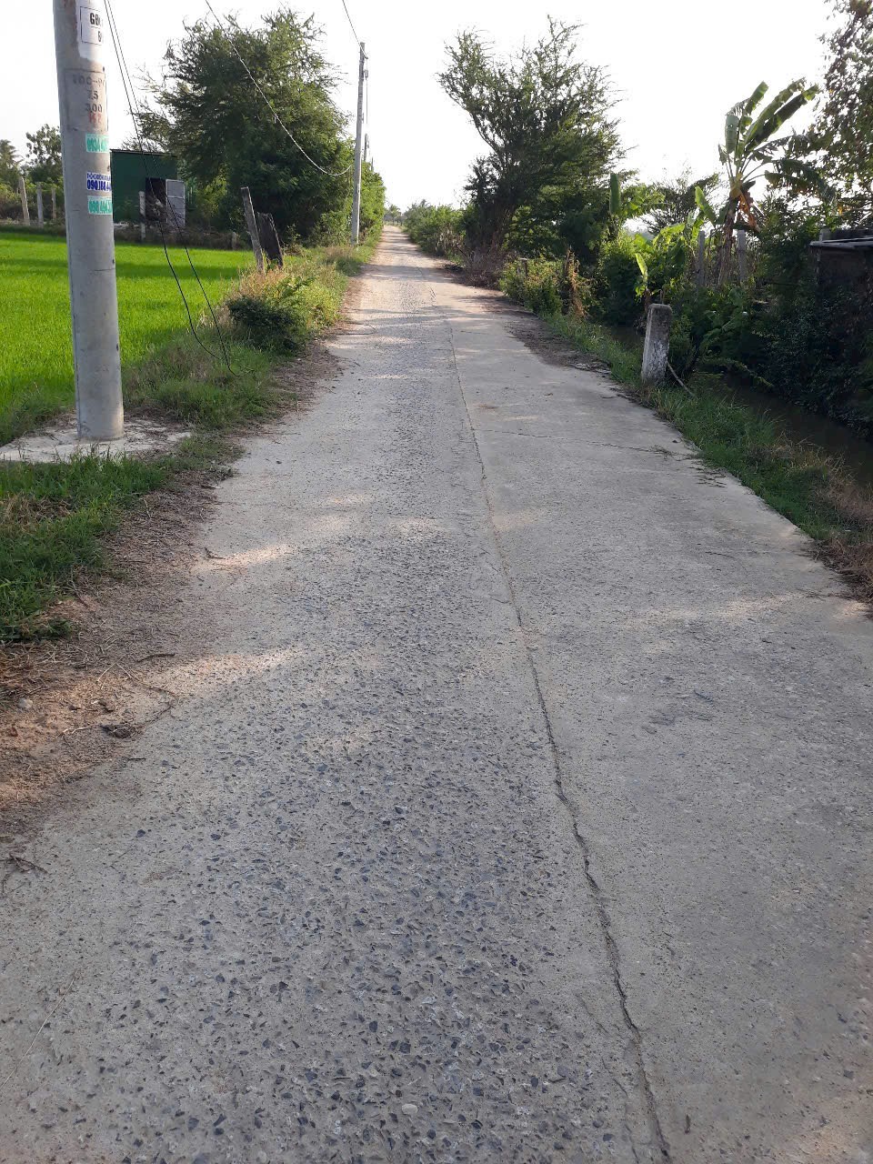 Cần bán Đất đường Quốc lộ 1A, Xã Tân Hải, Diện tích 1646m², Giá Thương lượng 9