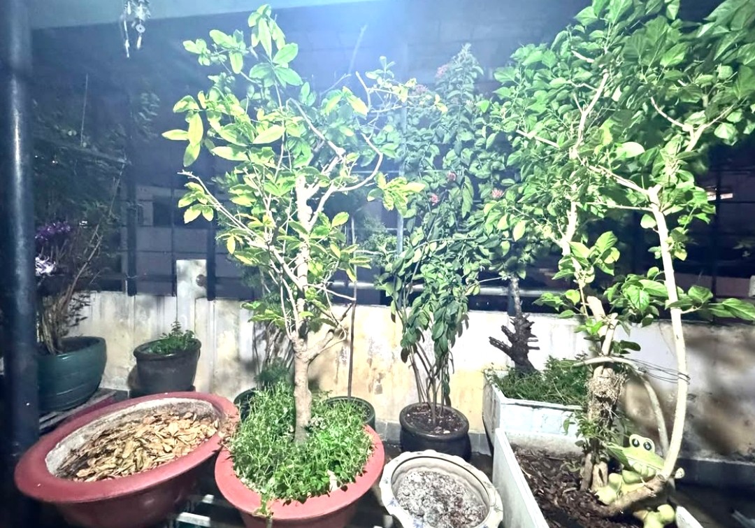 GẤP BÁN GIẢM MẠNH 1.8 TỶ! NHÀ NGUYỄN VĂN ĐẬU 97m2 (5.8 × 16.7) HXH KINH DOANH 2