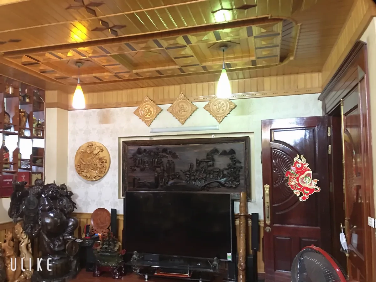 Biệt thự 4 tầng, 308m2 KĐT Linh Đàm, mặt tiền 14m, giá 72 tỷ 4
