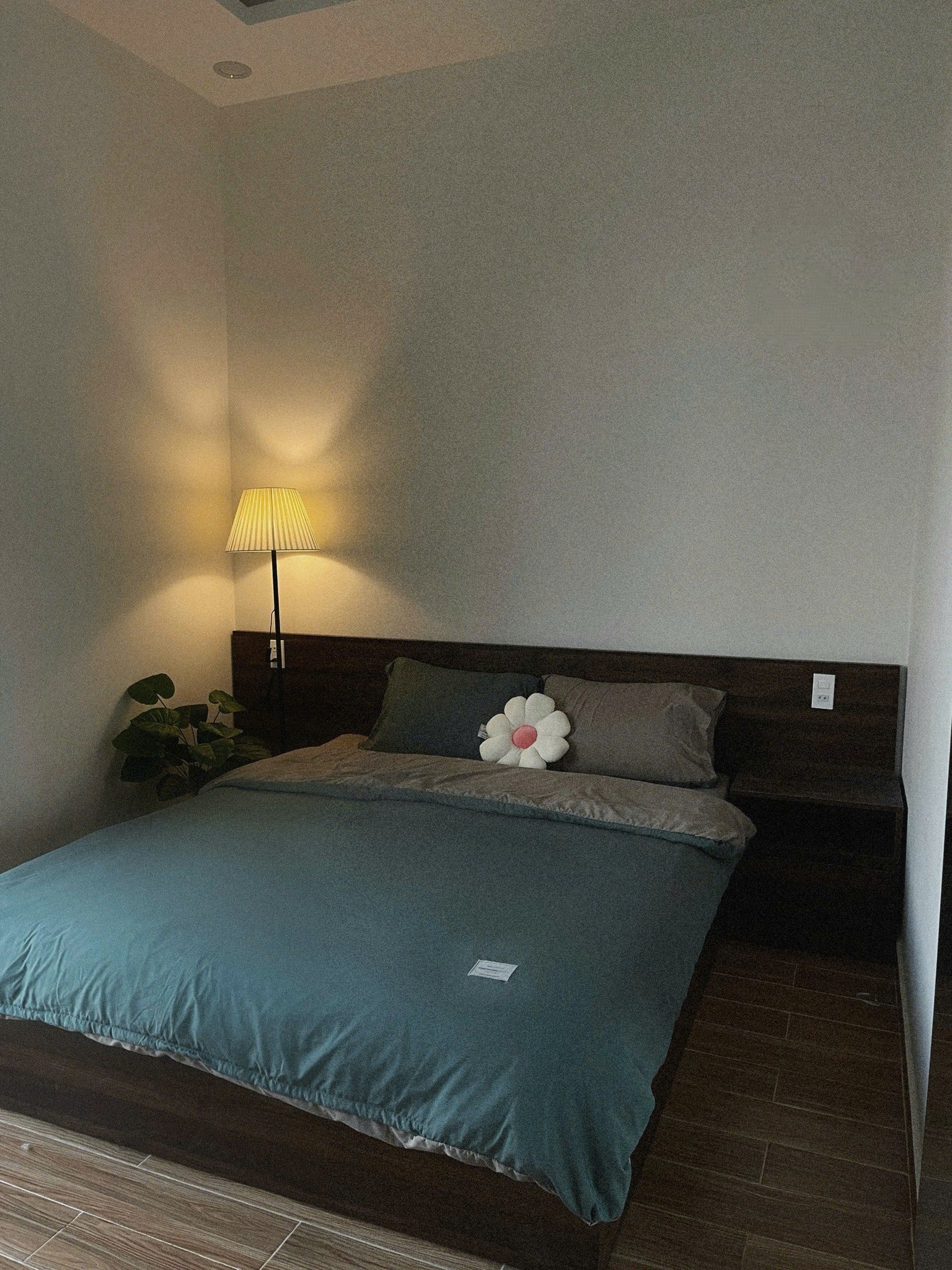 Cần Bán Nhà Đang Kinh Doanh Homestay đường Lữ Gia, Đà Lạt
