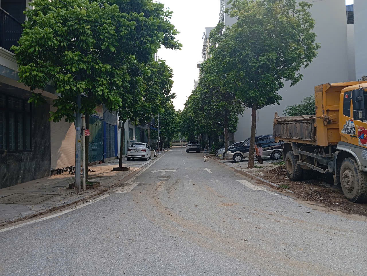 CỰC Hiếm! Lô Góc đất đấu giá Ngõ Cổng Đa Sỹ cạnh công viên Hà Đông 70m2 chỉ 18 tỷ. 0989626116