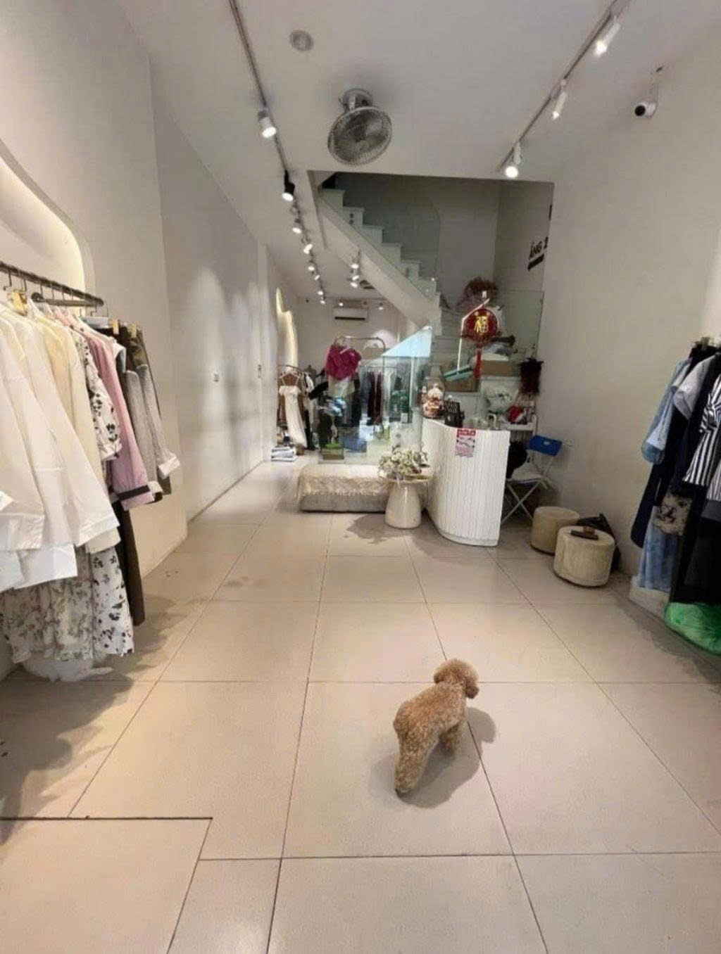 Bán nhà NGUYỄN HY QUANG – PHÂN LÔ Ô TÔ VÀO NHÀ – KINH DOANH – MẶT TIỀN 4.5m – 50m² x 4T – 16,4 tỷ 2
