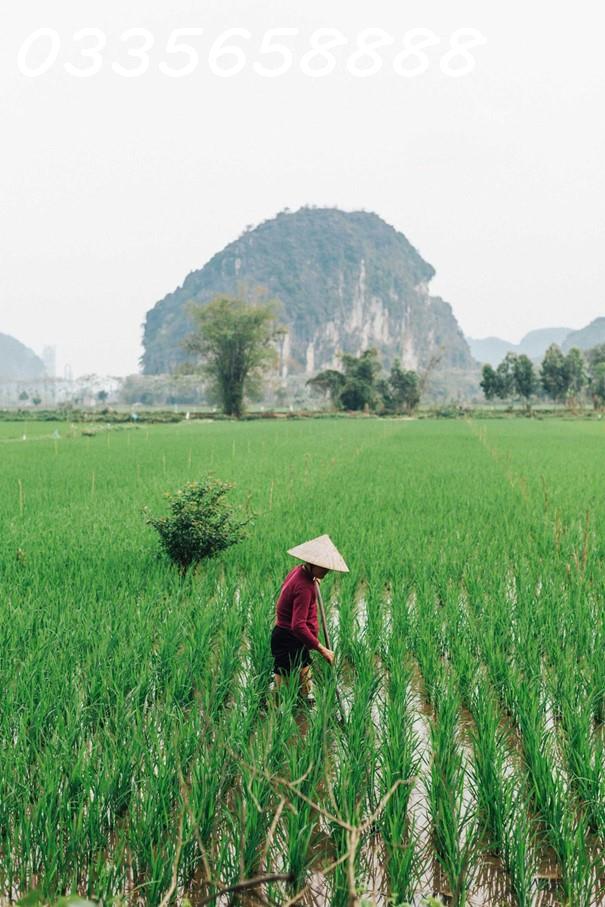 Tại Sao Nên Đầu Tư Hòa Bình Ngay Lúc Này? 2