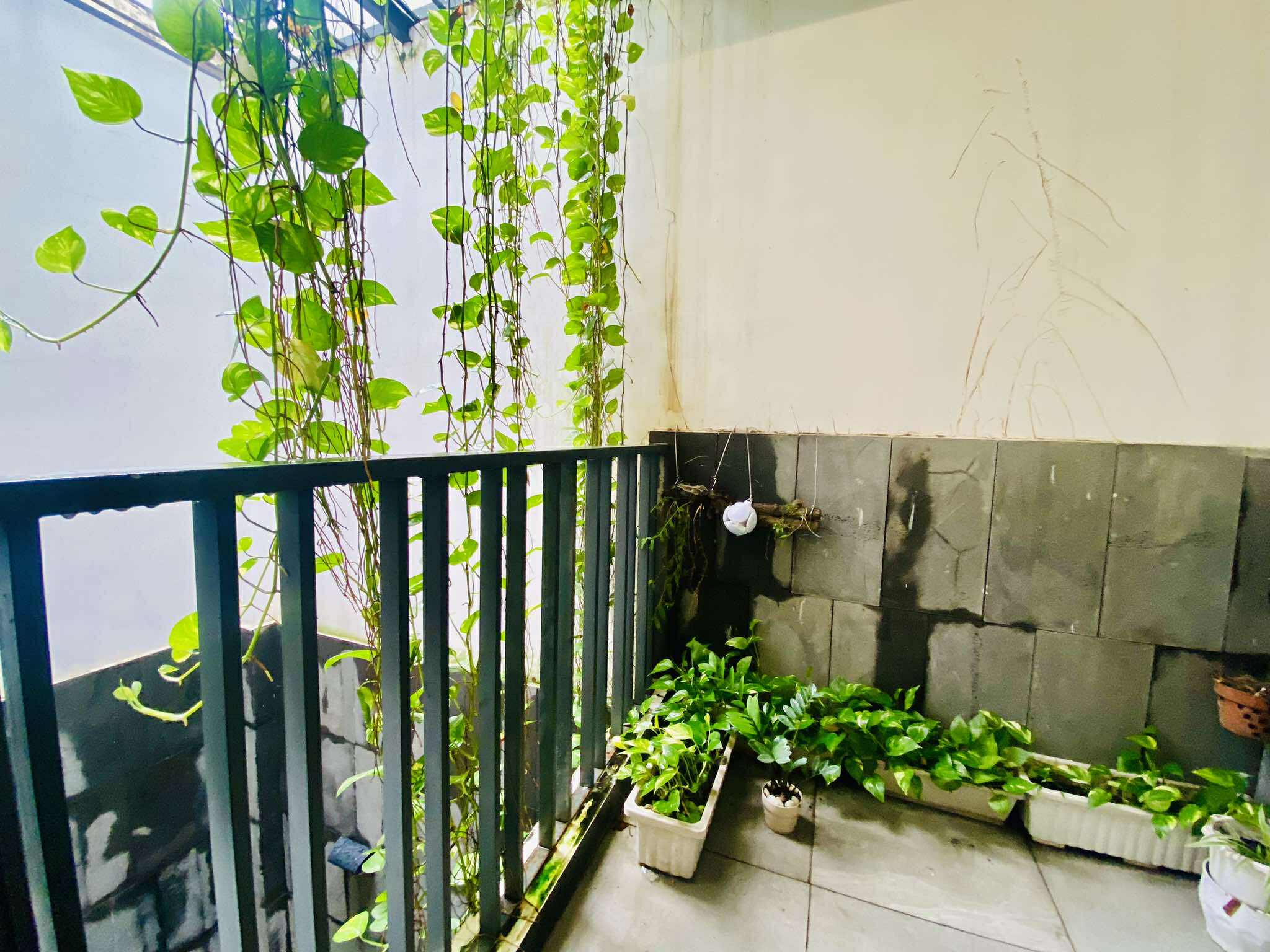 TUYỆT PHẨM 4 TẦNG THANG MÁY NGAY NHÀ GA T3 - OTO THÔNG - 84m2 (5×17) - 18.5 TỶ 2