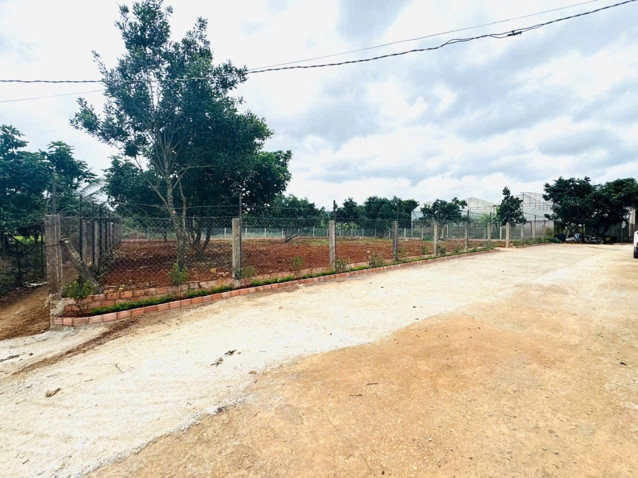 Cần Bán gấp Lô Đất nền Biệt Thự đẹp view thoáng tại Tà Nung - Phường Cam Ly, Đà Lạt 716m2 2