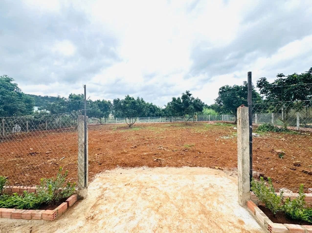 Cần Bán gấp Lô Đất nền Biệt Thự đẹp view thoáng tại Tà Nung - Phường Cam Ly, Đà Lạt 716m2